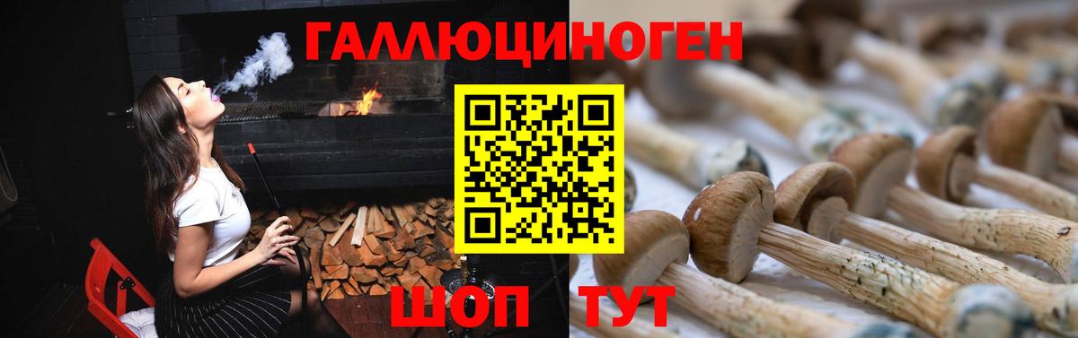 Пушкино  Псилоцибиновые грибы мицелий  Вход с VPN 